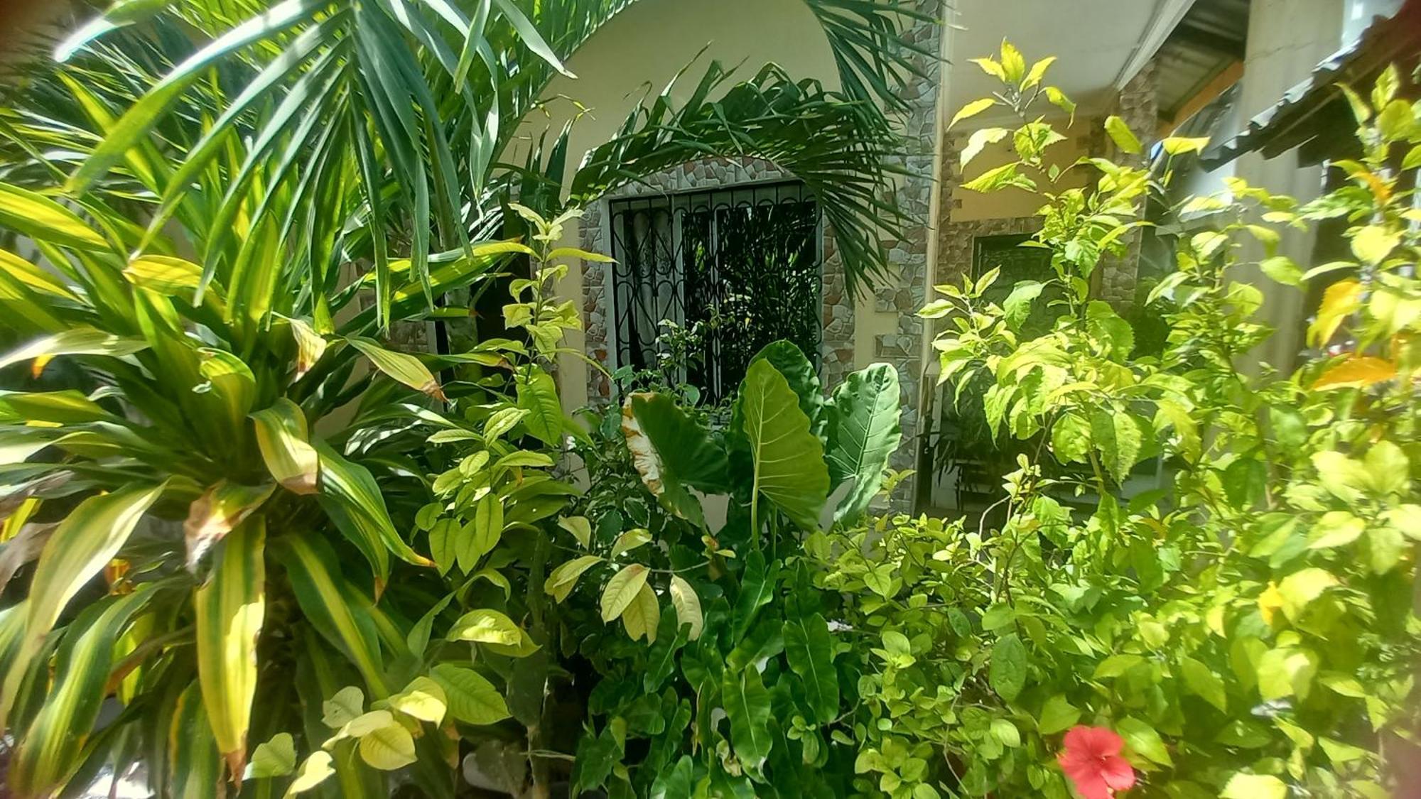 Mount Zion Guest House, Mtwapa Mtomondoni モンバサ エクステリア 写真