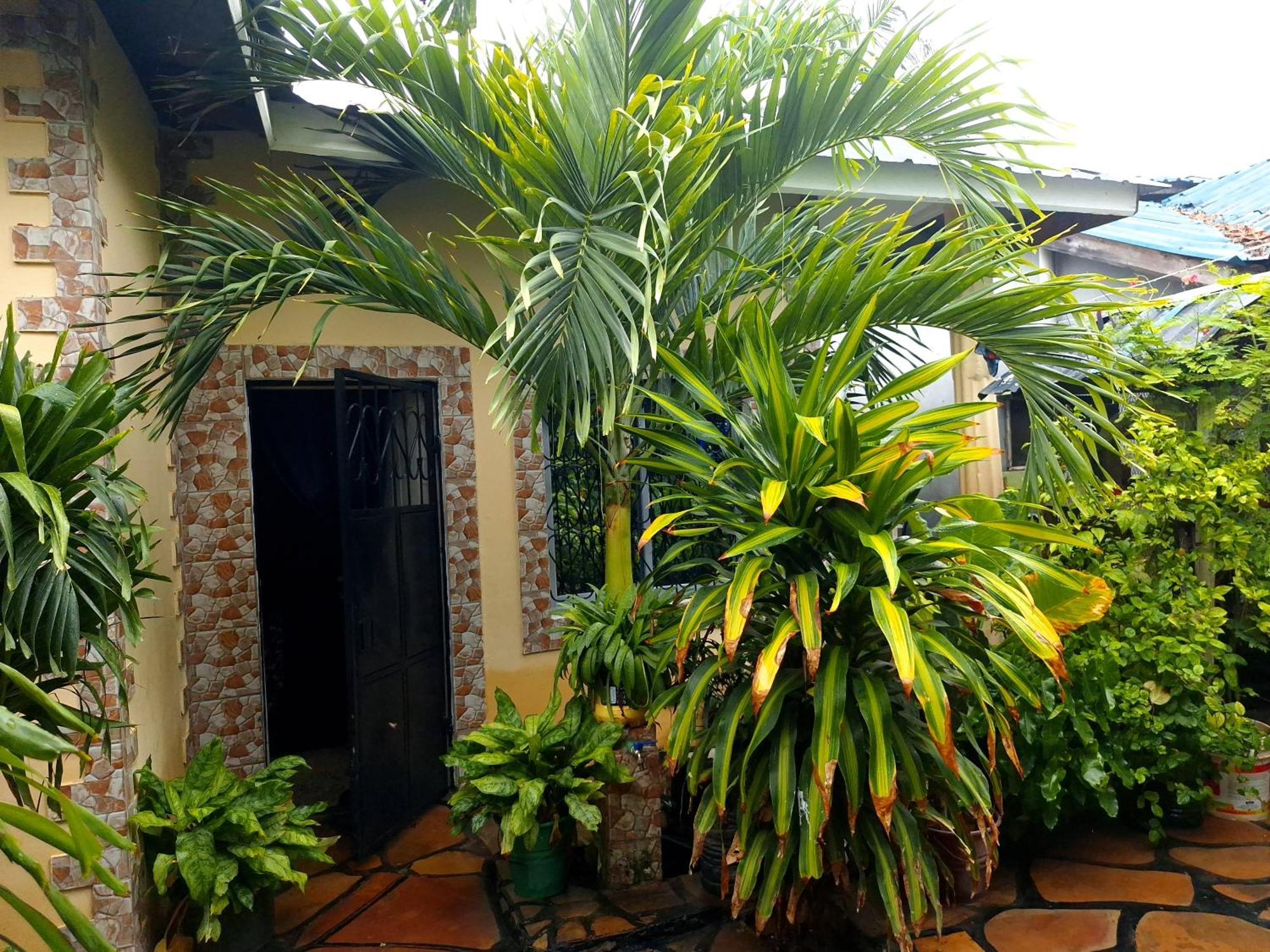 Mount Zion Guest House, Mtwapa Mtomondoni モンバサ エクステリア 写真