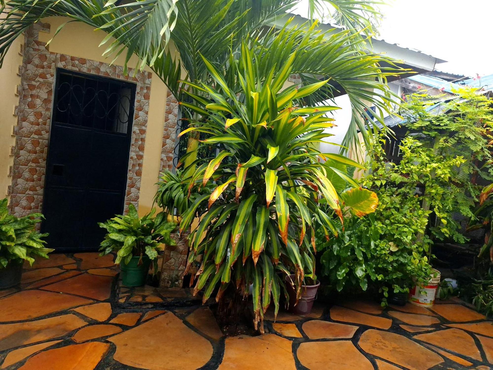 Mount Zion Guest House, Mtwapa Mtomondoni モンバサ エクステリア 写真